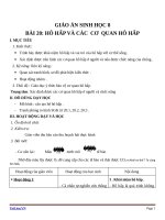 Giáo án Sinh học 8 bài 20: Hô hấp và các cơ quan hô hấp