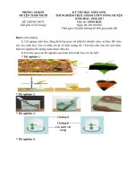 123doc   de thi hoc sinh gioi thi nghiem thuc hanh mon sinh hoc 9 kem dap an