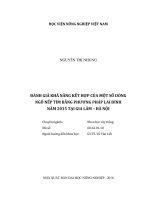 đánh giá khả năng kết hợp của một số dòng ngô nếp tím bằng phương pháp lai đỉnh năm 2015 tại gia lâm – hà nội 