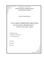 TÁI CẤU HÌNH LƯỚI ĐIỆN PHÂN PHỐI SỬ DỤNG CÁC GIẢI THUẬT TÌM KIẾM TỐI ƯU ( LA tiến sĩ )