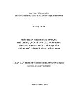 Phát triển khách hàng sử dụng thẻ ghi nợ quốc tế của các ngân hàng thương mại nhà nước trên địa bàn thành phố cẩm phả, tỉnh quảng ninh 