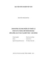 ảnh hưởng của phụ phẩm cây thuốc lá được xử lý bằng chế phẩm sinh học đến giống lúa vt404 tại kiến thụy   hải phòng 