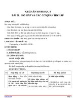 Giáo án Sinh học 8 bài 20: Hô hấp và các cơ quan hô hấp