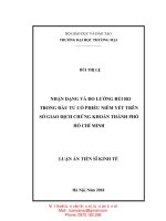 Nhận dạng và đo lường rủi ro trong đầu tư cổ phiếu niêm yết trên sở giao dịch chứng khoán thành phố hồ chí minh 