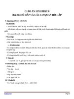 Giáo án Sinh học 8 bài 20: Hô hấp và các cơ quan hô hấp