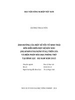 ảnh hưởng của một số yếu tố sinh thái đến diễn biến mật độ rầy nâu (nilaparvatalugens stal) trên lúa và biện pháp hóa học phòng trừ tại bình lục   hà nam năm 2015 