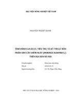 tình hình sản xuất, tiêu thụ và kỹ thuật bón phân cho cây chùm ngây (moringa oleifera l ) trên địa bàn hà nội 
