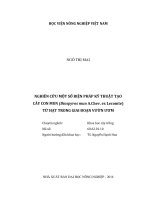 nghiên cứu một số biện pháp kỹ thuật tạo cây con mun (diospyros mun a chev  ex lecomte) từ hạt trong giai đoạn vườn ươm 