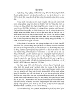 Phân tích Marketing mix của Agribank