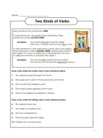 Linking verbs in English