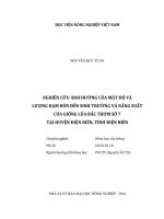 nghiên cứu ảnh hưởng của mật độ và lượng đạm bón đến sinh trưởng và năng suất của giống lúa bắc thơm số 7 tại huyện điện biên, tỉnh điện biên 