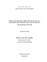 NHỮNG GIẢI PHÁP PHÁT TRIỂN THẺ THANH TOÁN TẠI NGÂN HÀNG CÔNG THƯƠNG VIỆT NAM_CHI NHÁNH 1 THÀNH PHỐ HỒ CHÍ MINH