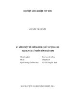 so sánh một số giống lúa chất lượng cao tại huyện lý nhân tỉnh hà nam 