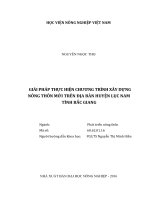giải pháp thực hiện chương trình xây dựng nông thôn mới trên địa bàn huyện lục nam tỉnh bắc giang 