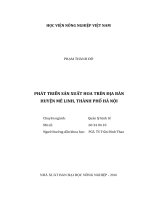 Phát triển sản xuất hoa trên địa bàn huyện mê linh, thành phố hà nội 