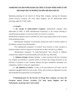 marketing cho sản phẩm xe đạp của công ty xe đạp thống nhất có thể xâm nhập vào thị trường của nền văn hóa châu âu e 