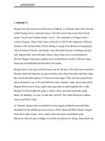 Xây dựng chiến lược marketing cho sản phẩm trái cây thanh long xâm nhập thị trường nhật bản e 