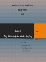 Đồng phân hủy bã đậu nành và lá cây ở Hong Kong