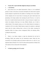 Văn hoá mỹ và quá trình thâm nhập thị trường mỹ của honda e 