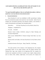 Xuất khẩu đồ dùng gia đình, đồ thủ công mỹ nghệ từ cây bèo tây e 