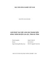 Giải pháp tạo việc làm cho thanh niên nông thôn huyện can lộc, tỉnh hà tĩnh 