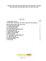 Chiến lược kinh doanh, phân tích thị trường và phân tích lợi thế cạnh tranh công ty sáng tạo việt 