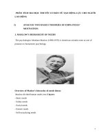 PHÂN TÍCH HAI học THUYẾT cơ bản về tạo ĐỘNG lực CHO NGƯỜI LAO ĐỘNG e 