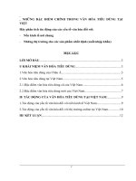 Những đặc điểm chính trong văn hóa tiêu dùng tại việt 