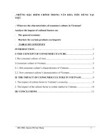 Những đặc điểm chính trong văn hóa tiêu dùng tại việt NAM   e 