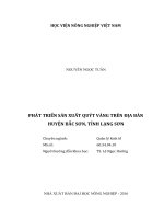 Phát triển sản xuất quýt vàng trên địa bàn huyện bắc sơn, tỉnh lạng sơn 