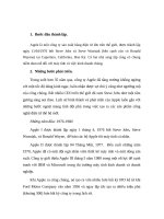 Chiến lược khác biệt hóa thông qua marketing nhằm cạnh tranh trên thị trường của công ty apple 