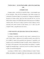 Văn hóa công ty – văn hóa doanh nghiệp – phân tích tại ngân hàng VIB e 