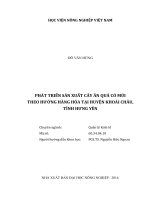 phát triển sản xuất cây ăn quả có múi theo hướng hàng hóa tại huyện khoái châu, tỉnh hưng yên 