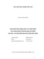 giải pháp đẩy mạnh cho vay tiêu dùng của ngân hàng thương mại cổ phần sài gòn   hà nội trên địa bàn tỉnh bắc ninh 