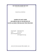 nghiên cứu phát triển bảo hiểm xã hội tự nguyện đối với người lao động trên địa bàn tỉnh vĩnh phúc 