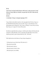 Lập kế hoạch xây dựng hệ thống thông tin nhằm nâng cao hiệu quả quản lý và kinh doanh của công ty điện lực nam định 