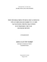 PHÂN TÍCH HOẠT ĐỘNG TÍN DỤNG CHO VAY BỔ SUNG VỐN LƯU ĐỘNG DOANH NGHIỆP VỪA VÀ NHỎ TẠI NGÂN HÀNG THƯƠNG MẠI CỔ PHẦN XUẤT NHẬP KHẨU VIỆT NAM CHI NHÁNH THỦ ĐỨC