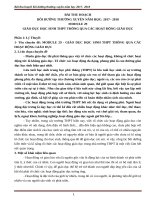 bài thu hoạch BDTX  module 29