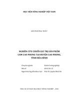 Nghiên cứu chuỗi giá trị sản phẩm cam cao phong tại huyện cao phong, tỉnh hòa bình 