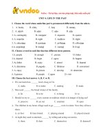 bai-tap-tieng-anh-lop-9-unit-4-life-in-the-past