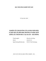 nghiên cứu ảnh hưởng của lượng phân bón và mật độ cấy đến sinh trưởng và năng suất giống lúa thuần đh11 tại an lão – hải phòng 