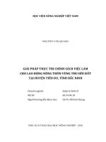 giải pháp thực thi chính sách việc làm cho lao động nông thôn vùng thu hồi đất tại huyện tiên du, tỉnh bắc ninh 
