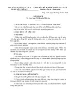 KẾ HOẠCH Tổ chức họp Tổ bộ môn Thể dục cấp huyện