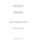 Phương trình hàm Cauchy