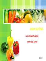 CÁC CHẤT DINH DƯỠNG SINH NĂNG LƯỢNG PROTEIN, LIPID, CACBONHYDRAT