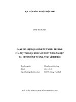 đánh giá hiệu quả kinh tế và môi trường của một số loại hình sản xuất nông nghiệp tại huyện vĩnh tường, tỉnh vĩnh phúc