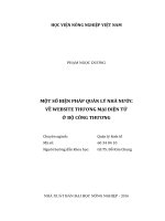 một số biện pháp quản lý nhà nước về website thương mại điện tử ở bộ công thương 