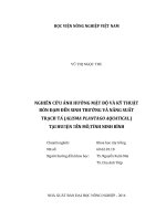 nghiên cứu ảnh hưởng mật độ và kỹ thuật bón đạm đến sinh trưởng và năng suất trạch tả (alisma plantago aquatical ) tại huyện yên mô,tỉnh ninh bình 
