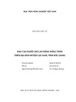 đào tạo nghề cho lao động nông thôn trên địa bàn huyện lục nam, tỉnh bắc giang