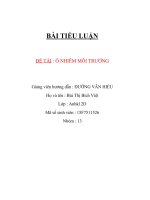 Bùi Thị Bích Việt - tiểu luận môn Môi trường và con người